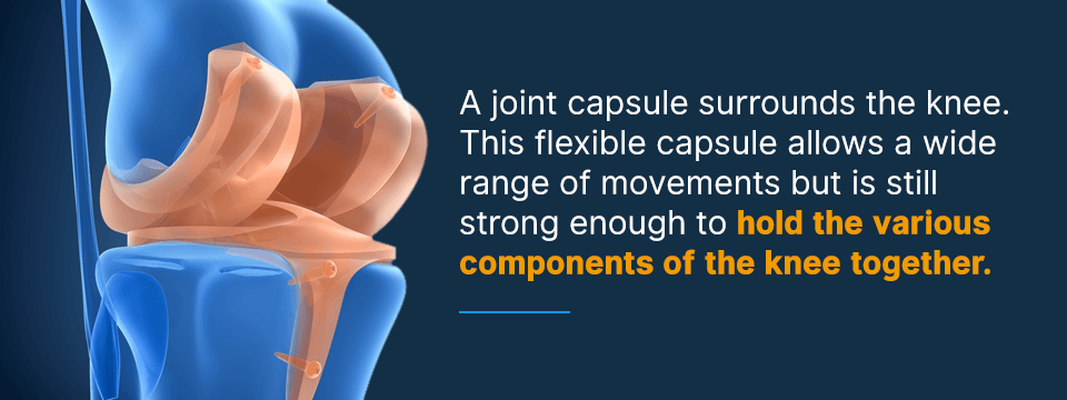 Parts-of-the-Knee