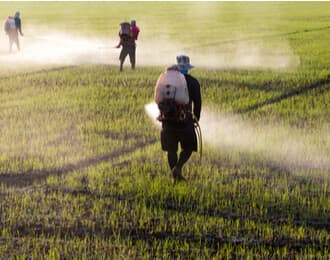 agricultural workers